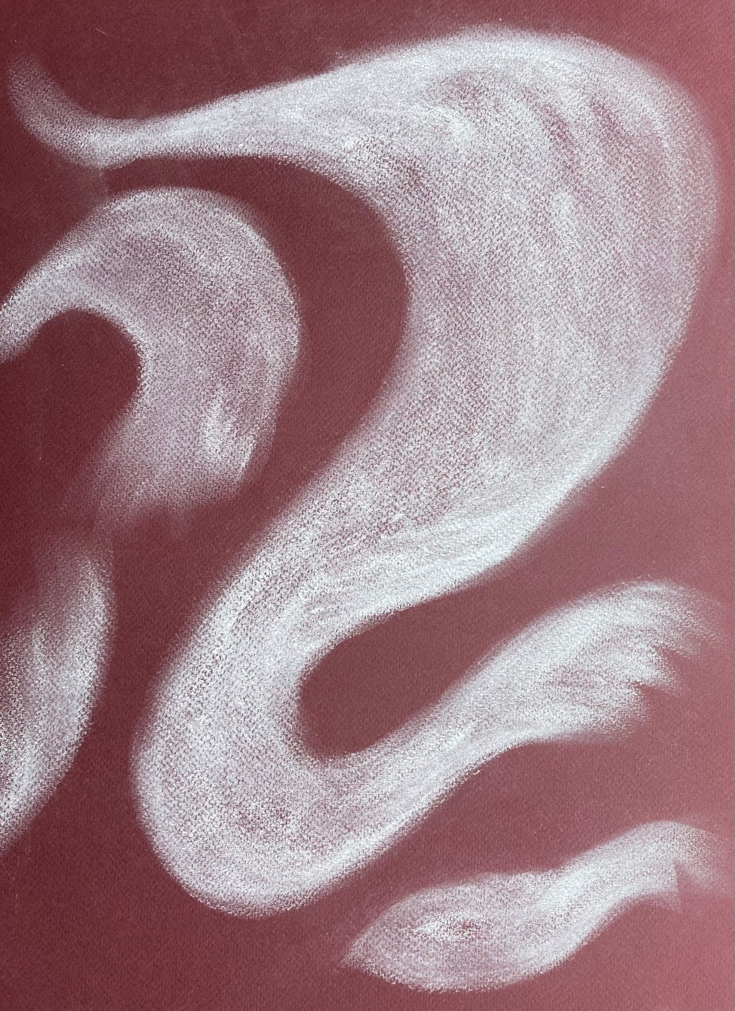 Shibari (abstract 2)