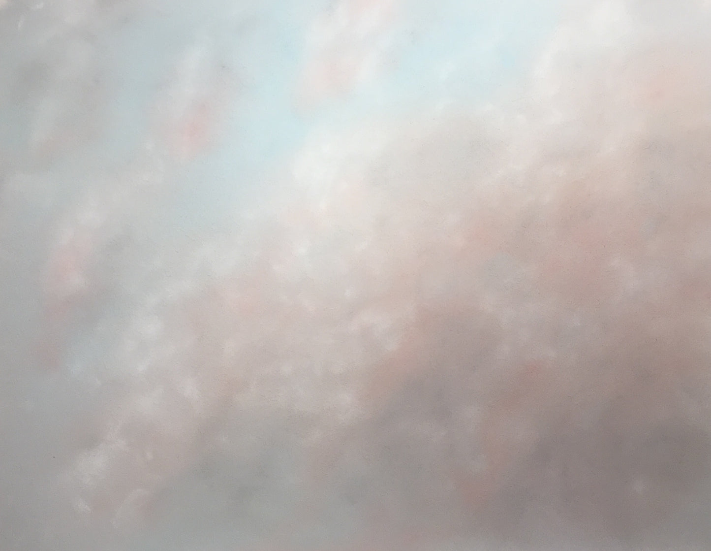 Spring Endeavour