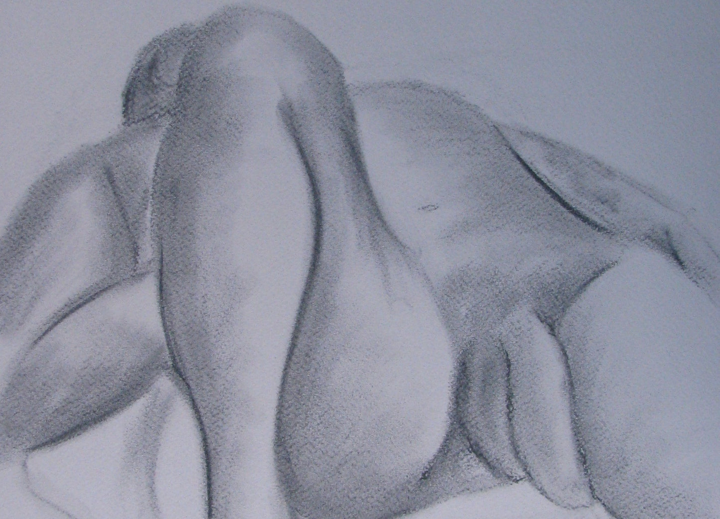 Terry (charcoal 1)
